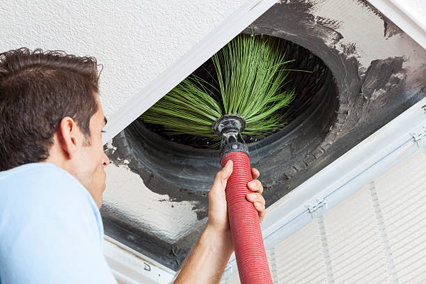Air Duct Mold Removal in Darlington, SC